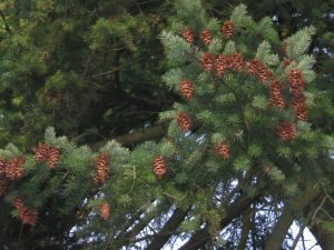 img_7914_v1